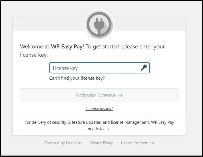 License key field on WP Easy Pay settings