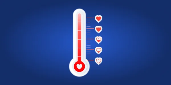Inside view of the donation thermometer in WordPress EasyPay plugin