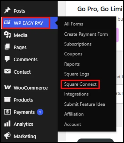 WP Easy Pay Square Connect settings with Payment Type set to Test Payment